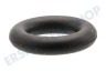 Beko Spülmaschine O-Ring