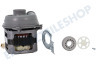 Beko Spülmaschine Pumpe Umwälzpumpe