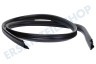 Indesit Spülmaschine 345554, C00345554 Dichtungsgummi rundum