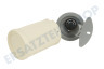 Hotpoint Spülmaschine Filter Mit Griff