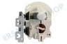 Whirlpool Spülmaschine Pumpe Umwälzpumpe-Motor