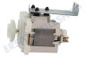 Whirlpool Spülmaschine Pumpe Umwälzpumpe-Motor
