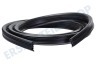 Samsung Spülmaschine DD62-00097C Dichtung rundum