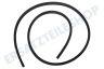 Haier Spülmaschine 01203000248 Dichtung rundum