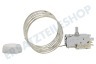 Ranco Kühlschrank Thermostat VI + 109 Kühler Abtauung