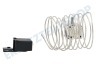 Zanussi Kühlschrank Thermostat Nr. 46 Danfoss 3 kont. + Lampe