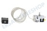 Zanussi Kühlschrank Thermostat Nr. 46 Danfoss 3 kont. + Lampe