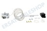 Zanussi Kühlschrank Thermostat Nr. 46 Danfoss 3 kont. + Lampe