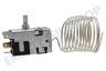 Elvita Thermostat Nr. 43 Danfoss + aut. Abt.