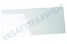 Premiere Kühlschrank Glasplatte