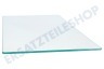Premiere Kühlschrank Glasplatte