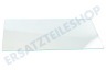 Premiere Kühlschrank Glasplatte