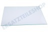 Electrolux Kühlschrank 2249121043 Glasplatte