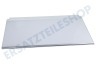 Arthur martin Kühlschrank 140166294011 Glasplatte komplett