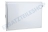 Brandt Kühlschrank Gefrierfachklappe komplett 445x330x58mm