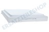 Brandt Kühlschrank Gefrierfachklappe komplett 445x330x58mm