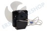 Zoppas Kühlschrank Motor Ventilatormotor mit Lüfter