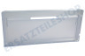 Indesit Kühlschrank 272538, C00272538 Blende Schubladenabdeckung 430x197