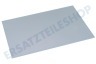 Indesit Kühlschrank 119758, C00119758 Glasplatte 478x333mm