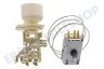 Edesa Kühlschrank Thermostat Ranco K59S2785500 ersetzt Atea A13 0696R
