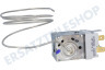 Edesa Kühlschrank Thermostat Atea A130696R