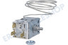 Edesa Kühlschrank Thermostat Atea A130696R