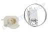 Smeg Kühlschrank Thermostat 3 Kont. A13 0701