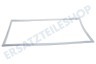 Junker Kühlschrank Dichtungsgummi Kühlschrank, 51,5 cm x 1,05 Meter