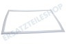 Balay Kühlschrank 473895, 00473895 Dichtungsgummi 700x575mm, Weiß, Gefrierfach