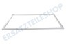Tecnik Kühlschrank 214226, 00214226 Dichtungsgummi 790 x 515mm -weiß-