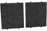 Balay Filter Mit Halter