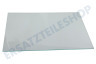 Junker Kühlschrank 743202, 00743202 Glasplatte Ablagefach