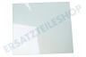 Zelmer Kühlschrank 11011826 Glasplatte im Gefrierteil