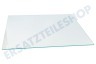 Zelmer Kühlschrank 11011826 Glasplatte im Gefrierteil