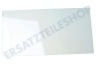 Zelmer Kühlschrank Glasplatte