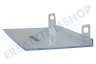 Siemens Kühlschrank 484023, 00484023 Klappe von Butterfach