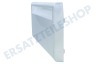 Siemens Kühlschrank 444056, 00444056 Klappe Transparent 433x200mm