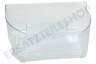Pitsos Kühlschrank 705225, 00705225 Gemüseschublade mit Griff