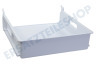 Bosch Kühlschrank 704411, 00704411 Gefrier-Schublade Gefrierschublade, weiß