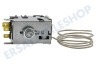 Bosch Kühlschrank 169024, 00169024 Thermostat Temperaturregler
