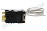 Bosch Kühlschrank 169024, 00169024 Thermostat Temperaturregler