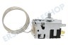 AEG Kühlschrank 170459, 00170459 Thermostat Temperaturregler
