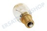 Pitsos Kühlschrank 602674, 00602674 Lampe 15W E14 Kühlschrank