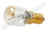 Pitsos Kühlschrank 602674, 00602674 Lampe 15W E14 Kühlschrank