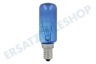 Alternative 00612235 Lampe 25 Watt, E14 Kühlschrank