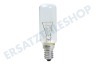 Neff 159645, 00159645 Lampe 40W E14 Kühlschrank, Abzugshaube
