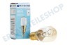 Constructa Kühlschrank 170218, 00170218 Lampe 25W E14 Kühlschrank