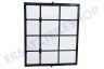 DeLonghi TL2263 Filter Filter hinten