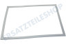 Altus Kühlschrank 4668512200 Dichtungsgummi Kühlschrank