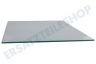 Singer Kühlschrank 4130587000 Glasplatte Gemüseschublade